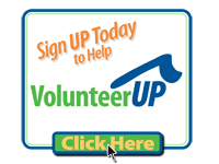 Volunteer
